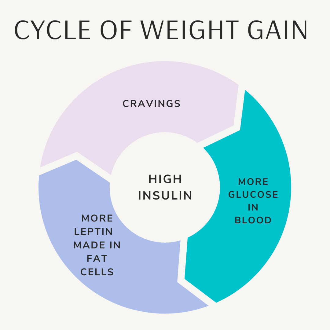 cycle of insulin resistance 1