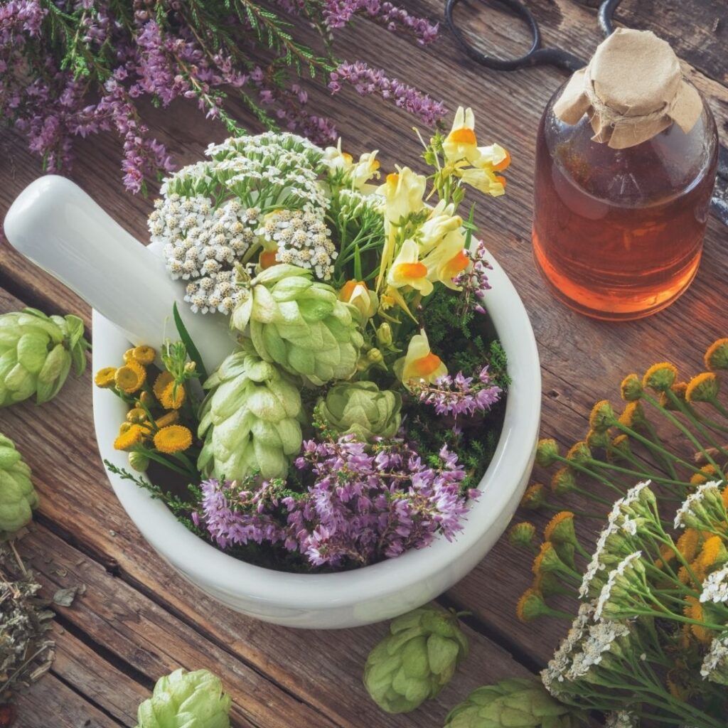  top herbs for pcos
